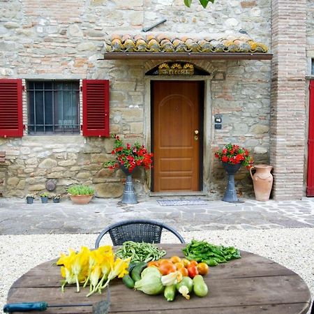 Casa Donella B&B Gricignano Εξωτερικό φωτογραφία